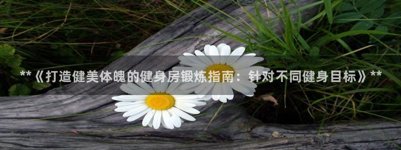 意昂2娱乐