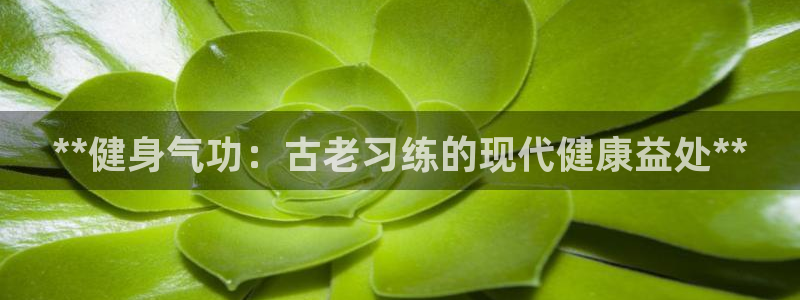 意昂2官方平台