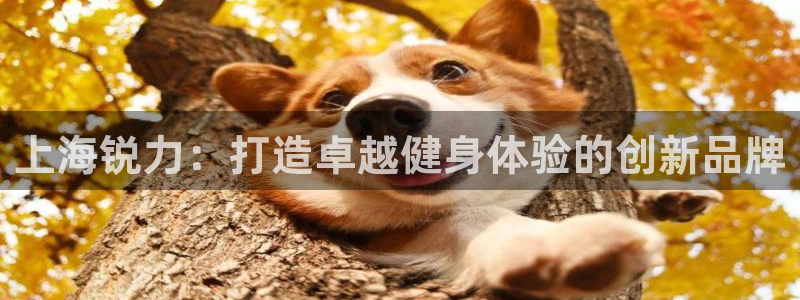意昂2代理