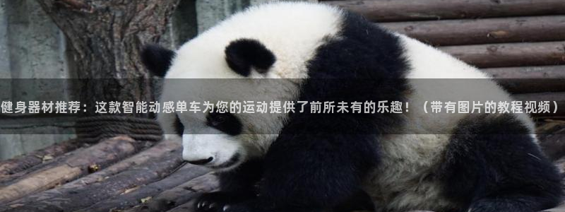 意昂2娱乐